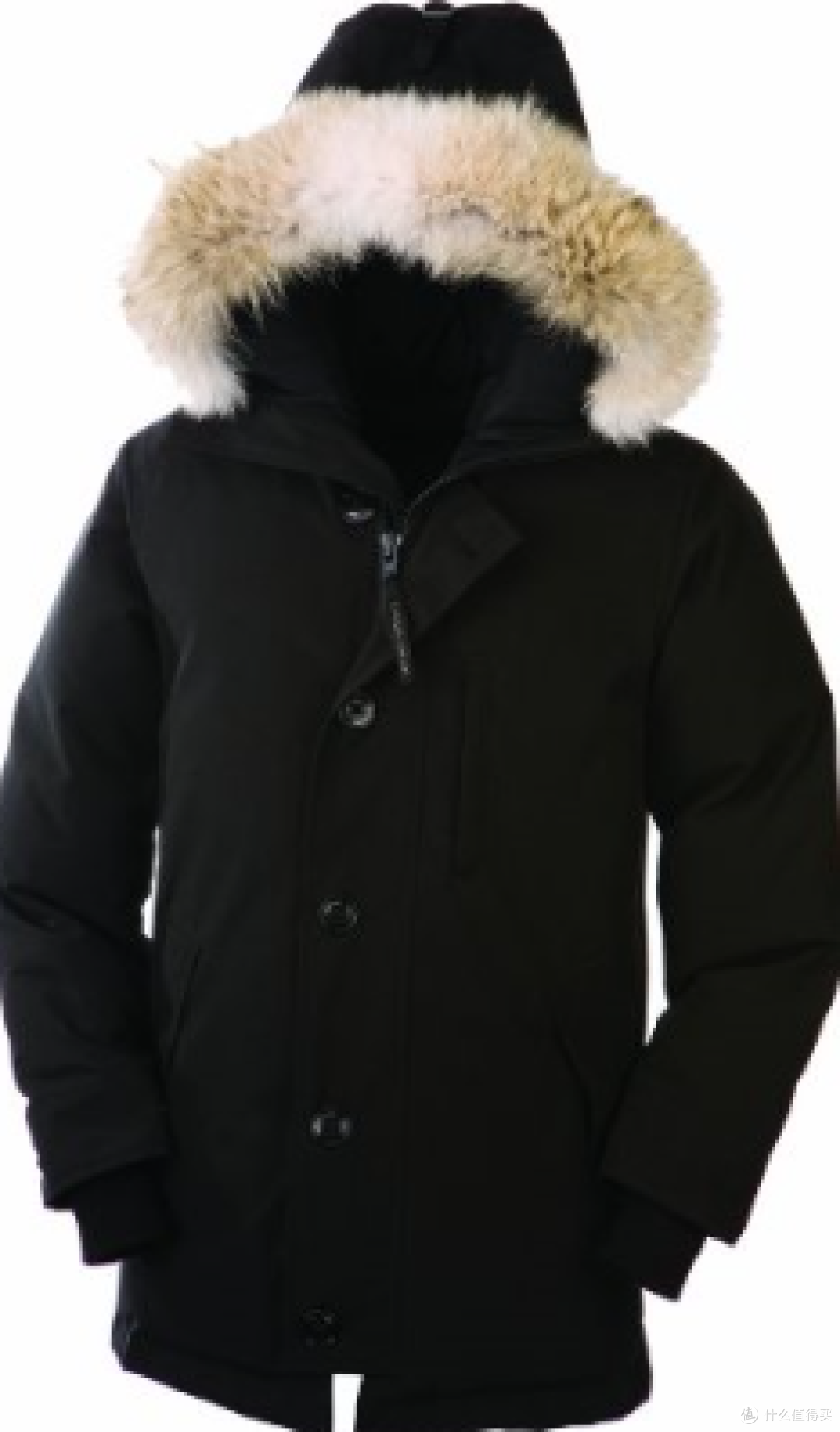 好奇带来的“惊喜”:Canada Goose 加拿大鹅 羽绒服