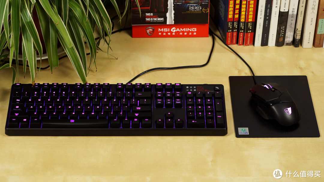 RGB机械键盘 + RGB鼠标