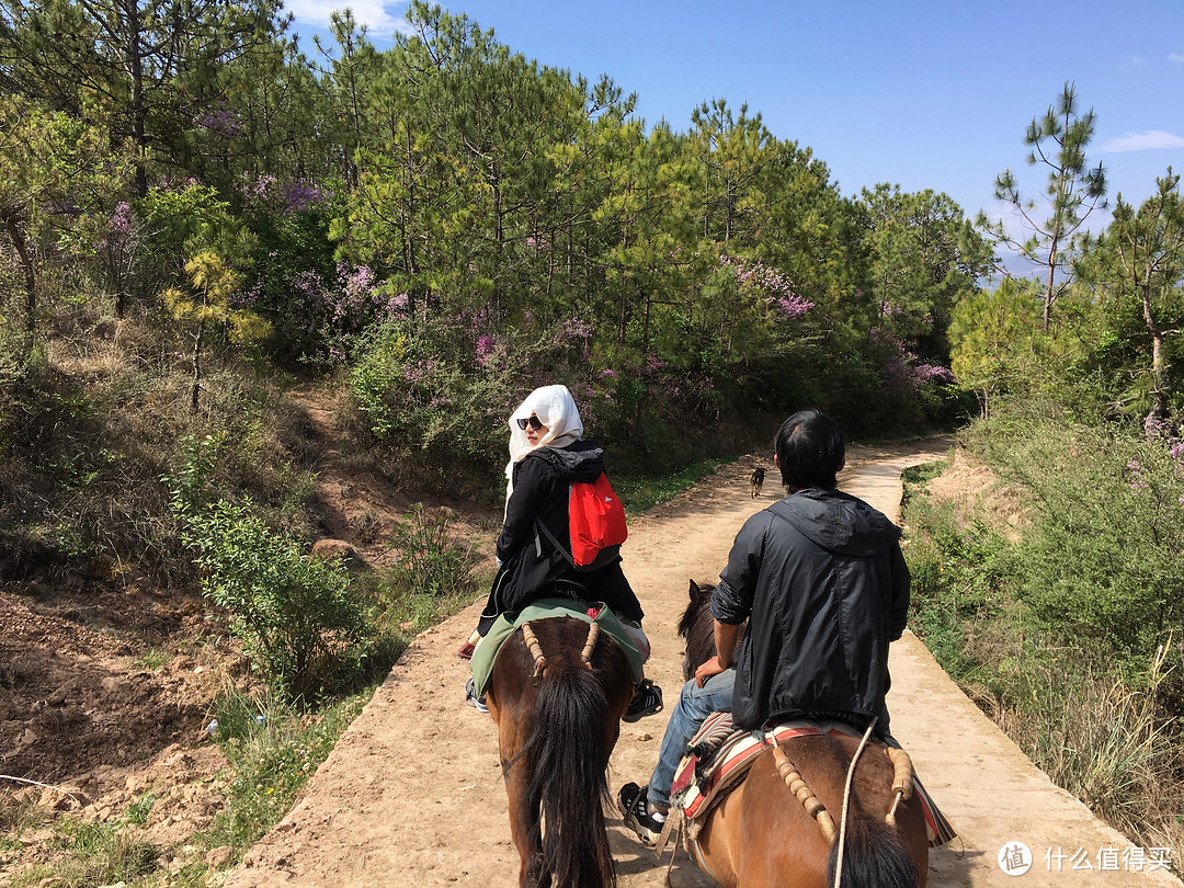 伪文艺假清新之旅：丽江洱海