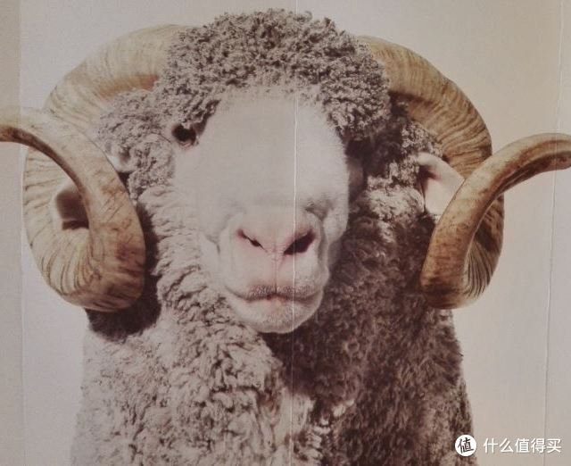 众测抽不到那就自己买嘛！Icebreaker Bodyfit 200 Navy 长袖内衣 晒单