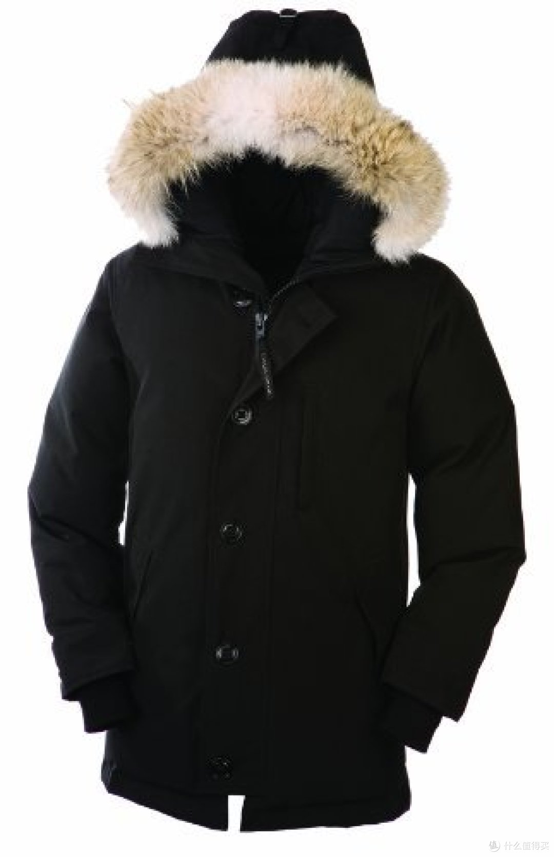 好奇带来的“惊喜”：Canada Goose 加拿大鹅  羽绒服