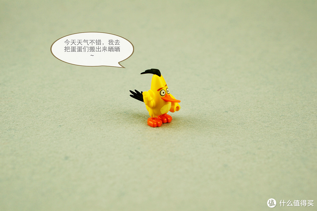 “游戏时间结束！我们要把那些蛋夺回来！”-众测Lego愤怒的小鸟-小猪大逃亡