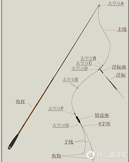 钓鱼（台钓）——兴趣培养50元入门篇