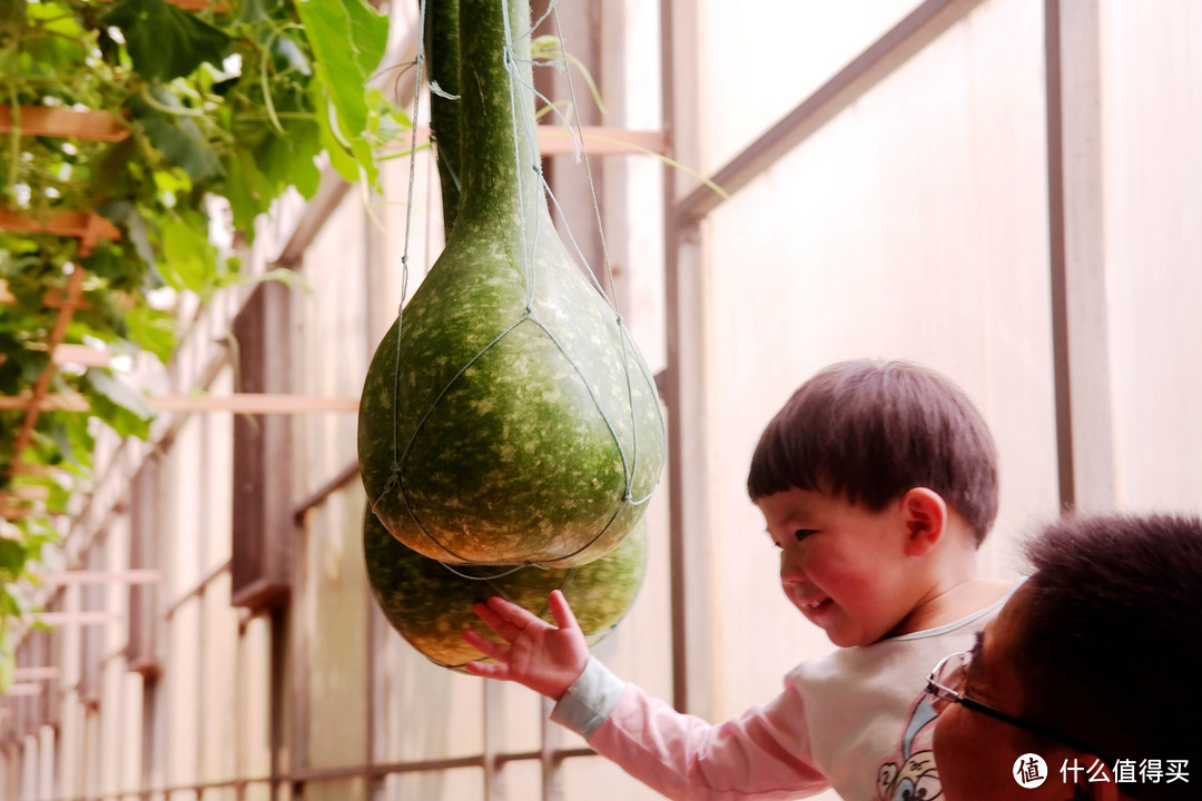 乡土国际范儿，植物大乐园 — 寿光菜博会