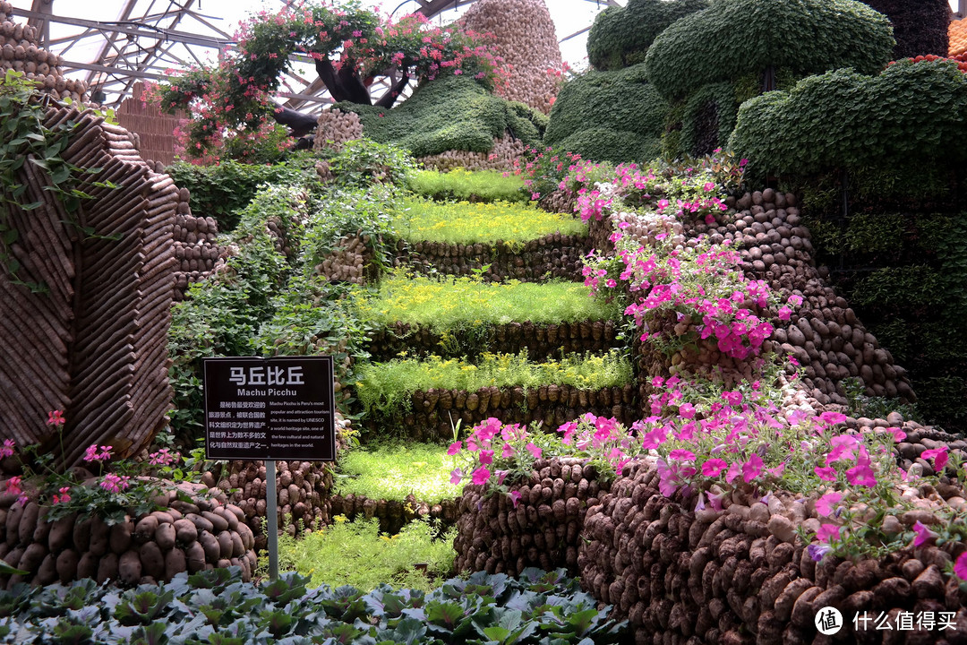 乡土国际范儿，植物大乐园 — 寿光菜博会