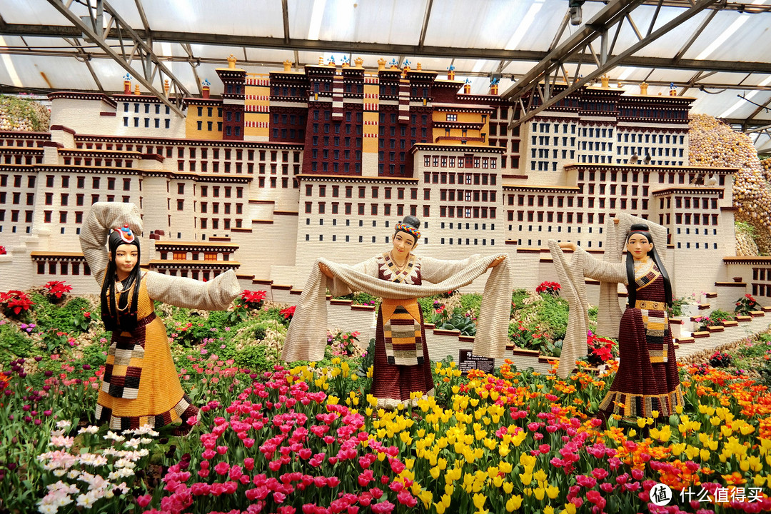 乡土国际范儿，植物大乐园 — 寿光菜博会