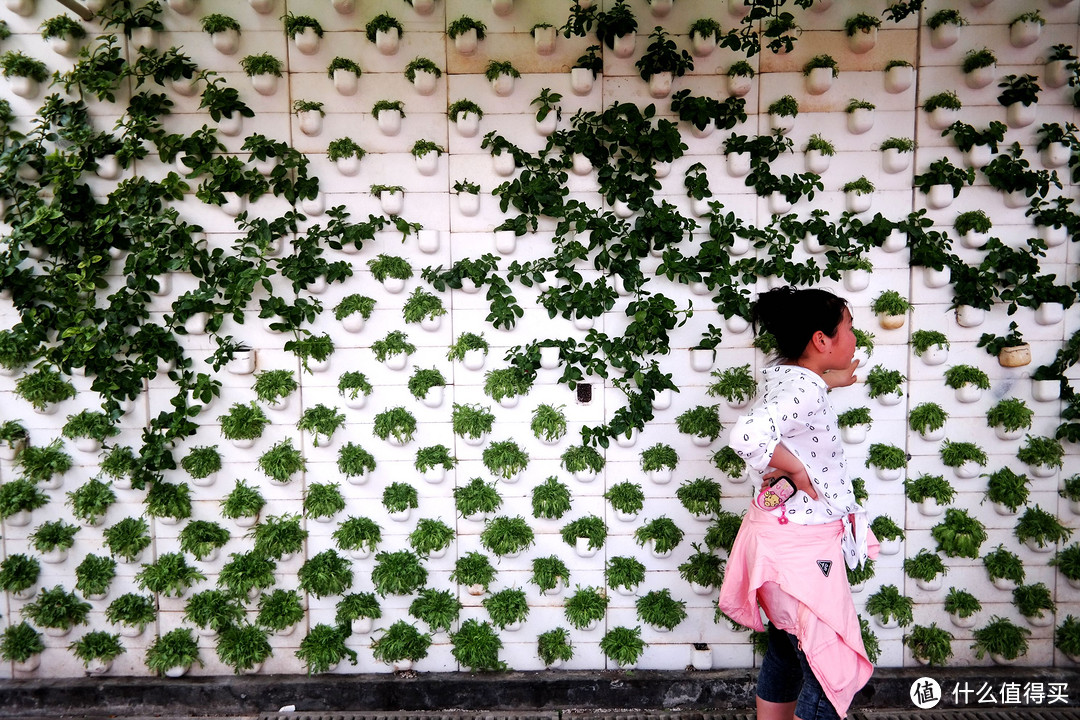 乡土国际范儿，植物大乐园 — 寿光菜博会