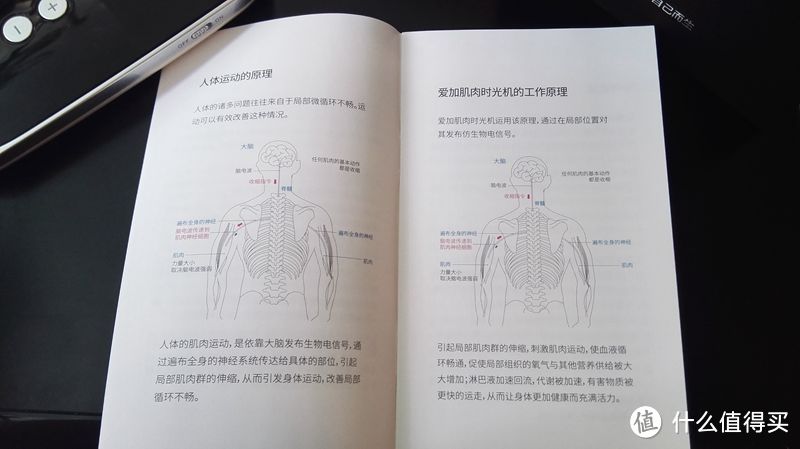 就叫在家也能大宝剑！爱加肌肉时光机