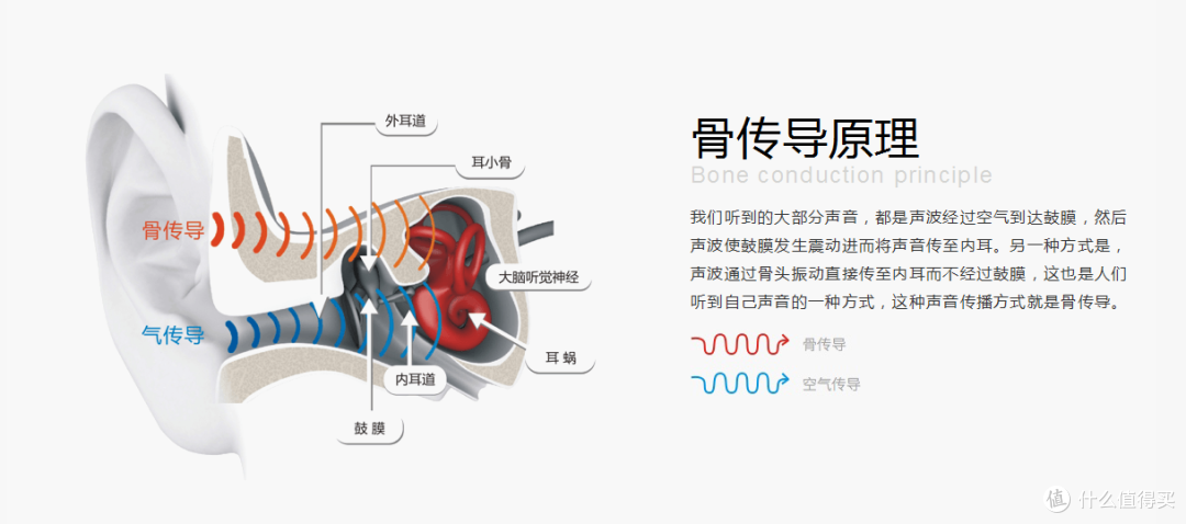 动静皆宜——AfterShokz 韶音 AS600 Trekz Titanium™骨传导运动耳机众测体验