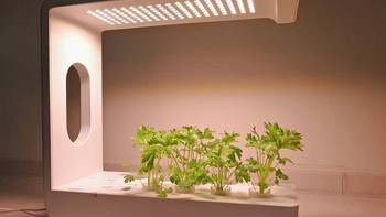 办公室小清新——麻麻汇 mini巴比立方 智能果蔬种植机
