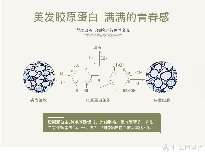 漂洋过海来看你之众测霓虹产TESCOM TCDF40美发胶原蛋白吹风机