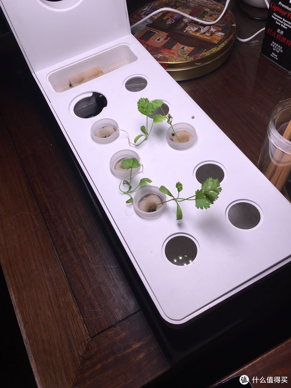 理想丰满现实骨感——mini巴比立方智能果蔬种植机众测报告