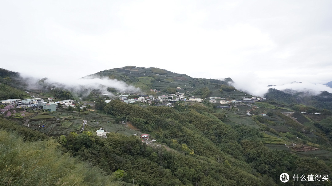 阿里山风景区 & 高雄