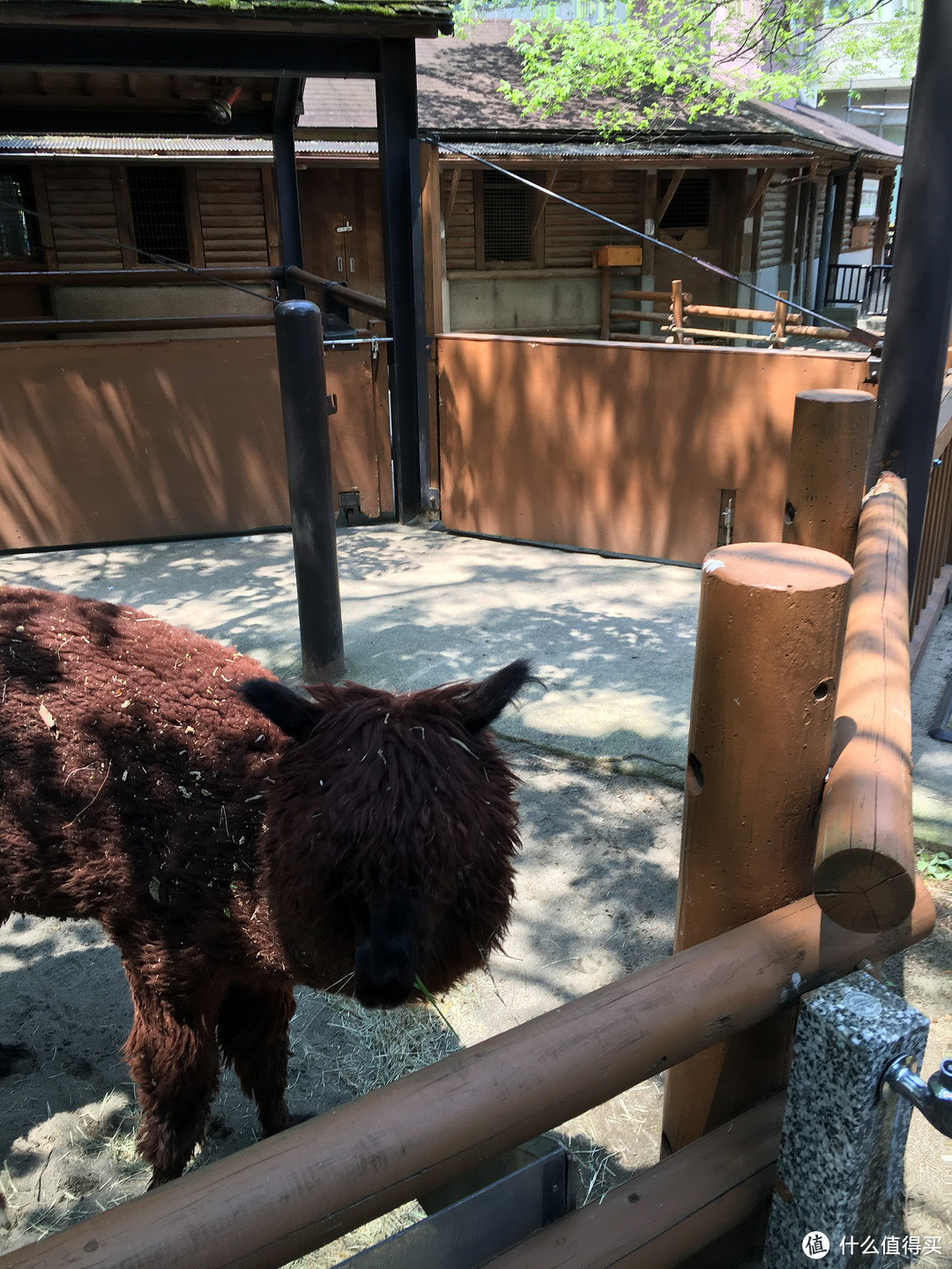 遇见日本之美，东京、名古屋、大阪、京都、奈良。