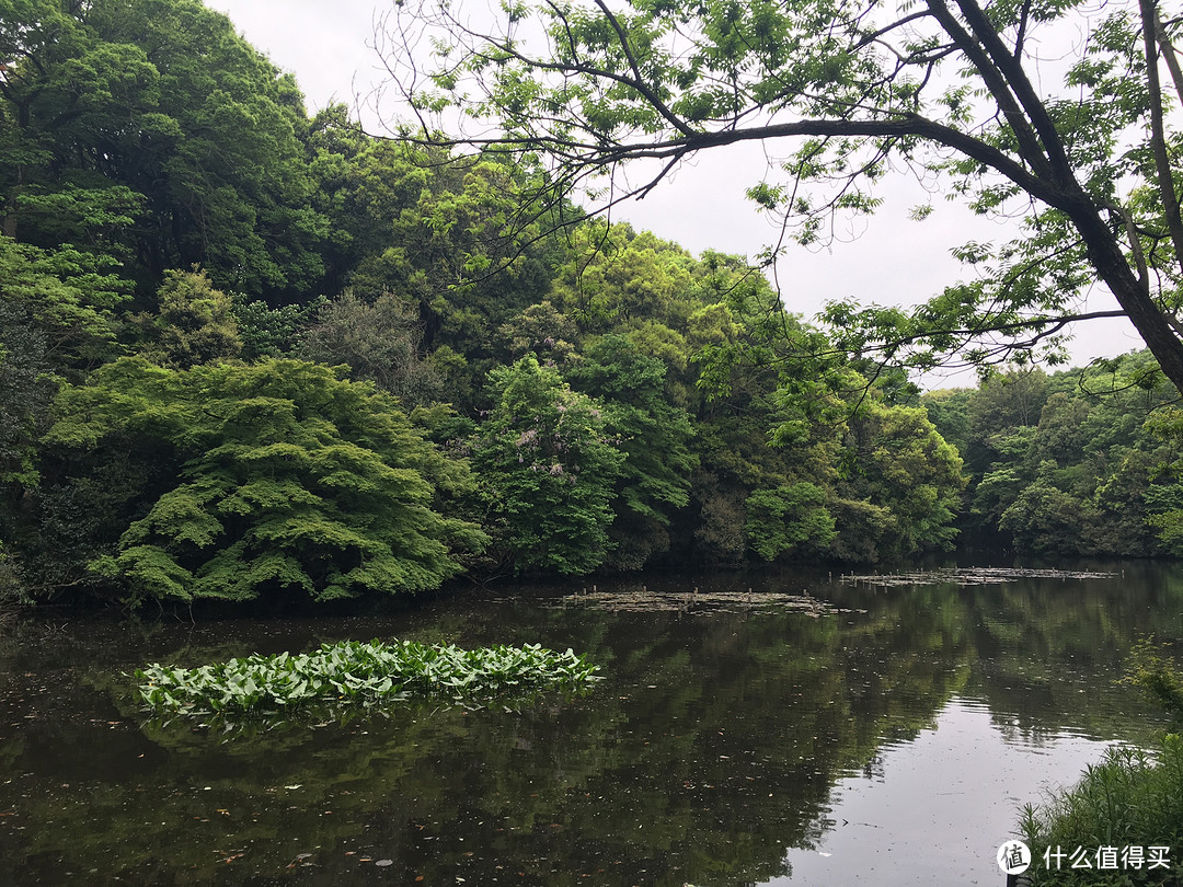 遇见日本之美，东京、名古屋、大阪、京都、奈良。