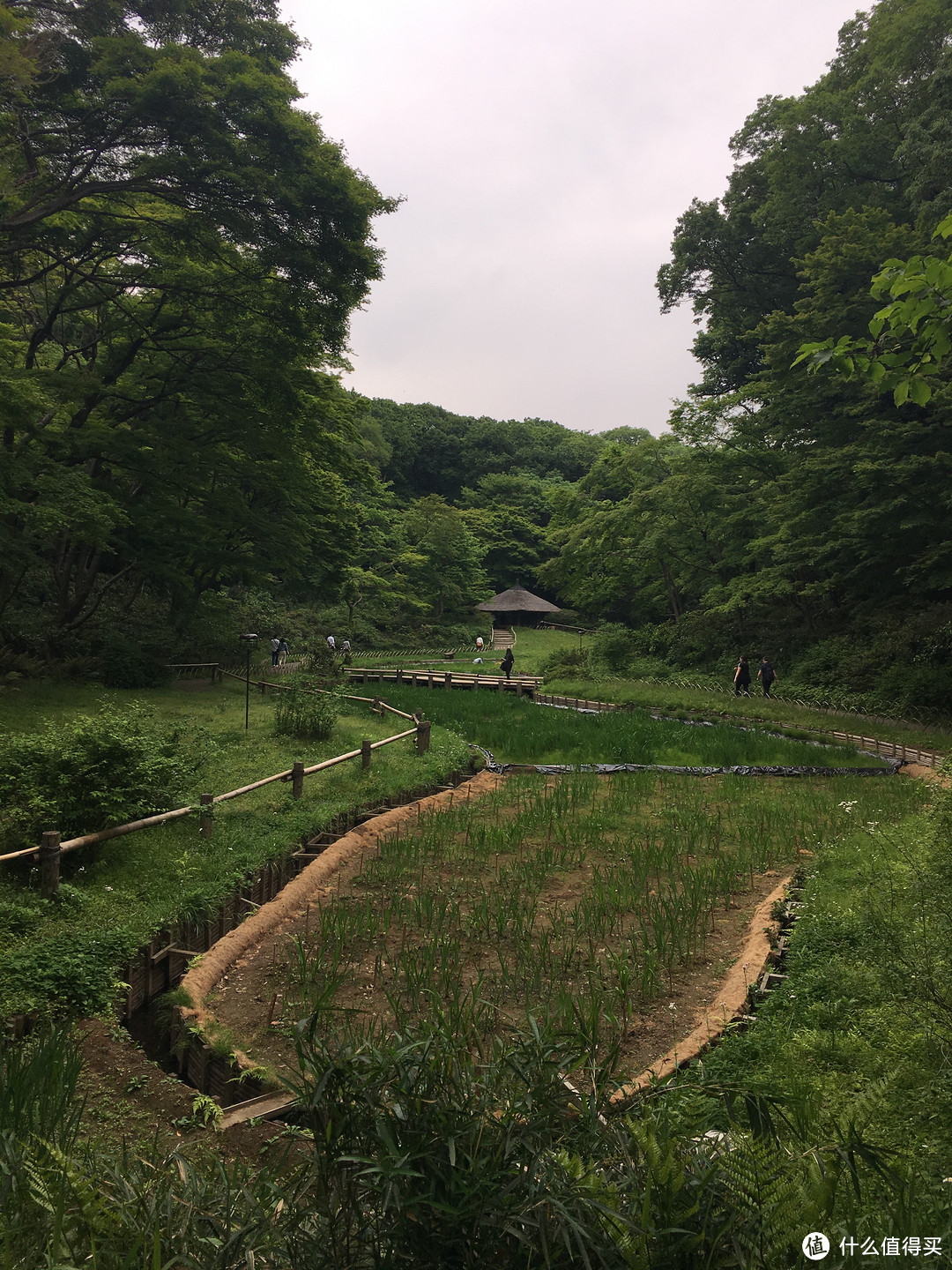 遇见日本之美，东京、名古屋、大阪、京都、奈良。