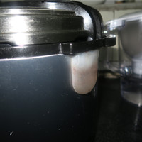 荣事达 50-90A35A 电压力锅外观展示(压力阀|橡胶条|内胆|外层)