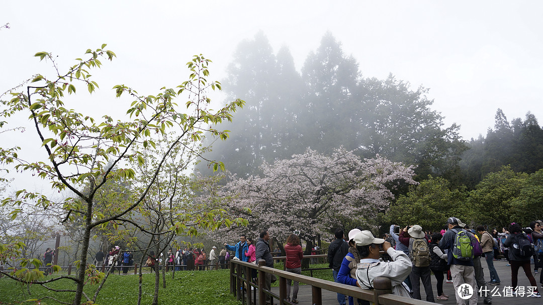 阿里山风景区 & 高雄