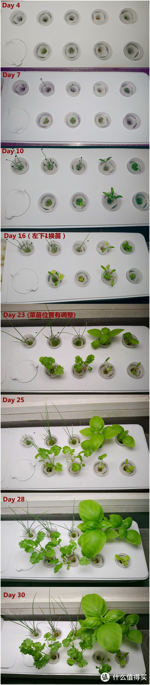 我的秘密菜园——mini巴比立方智能果蔬种植机测评