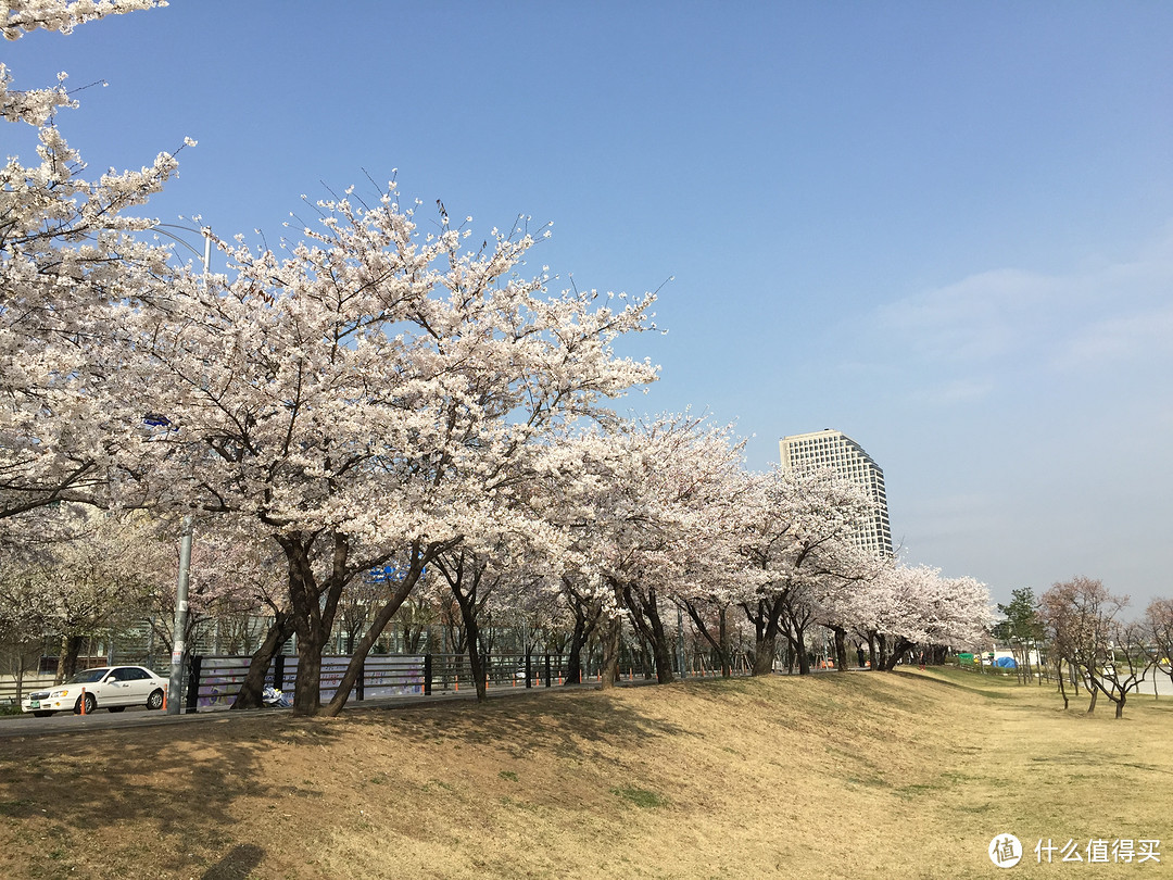 #值在韩国# 常规景点统统不去：探访首尔不知名的美食、美景和剁手圣地