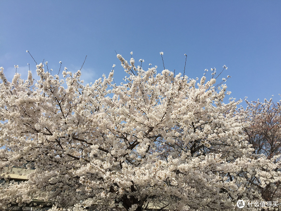 #值在韩国# 常规景点统统不去：探访首尔不知名的美食、美景和剁手圣地