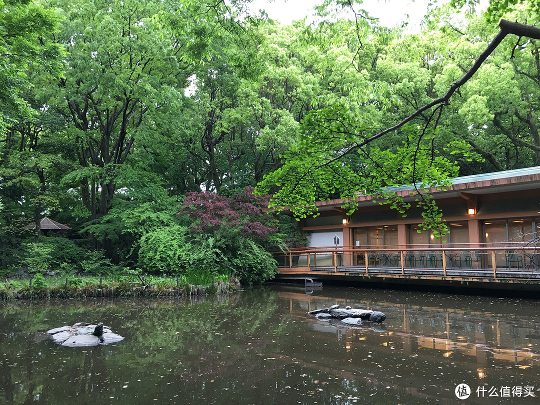 遇见日本之美，东京、名古屋、大阪、京都、奈良。