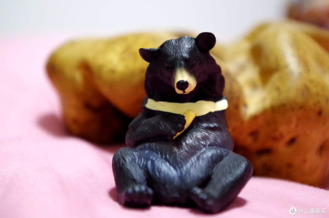 只恨自己手慢——博物君监制天然呆动物手办之黑熊开箱