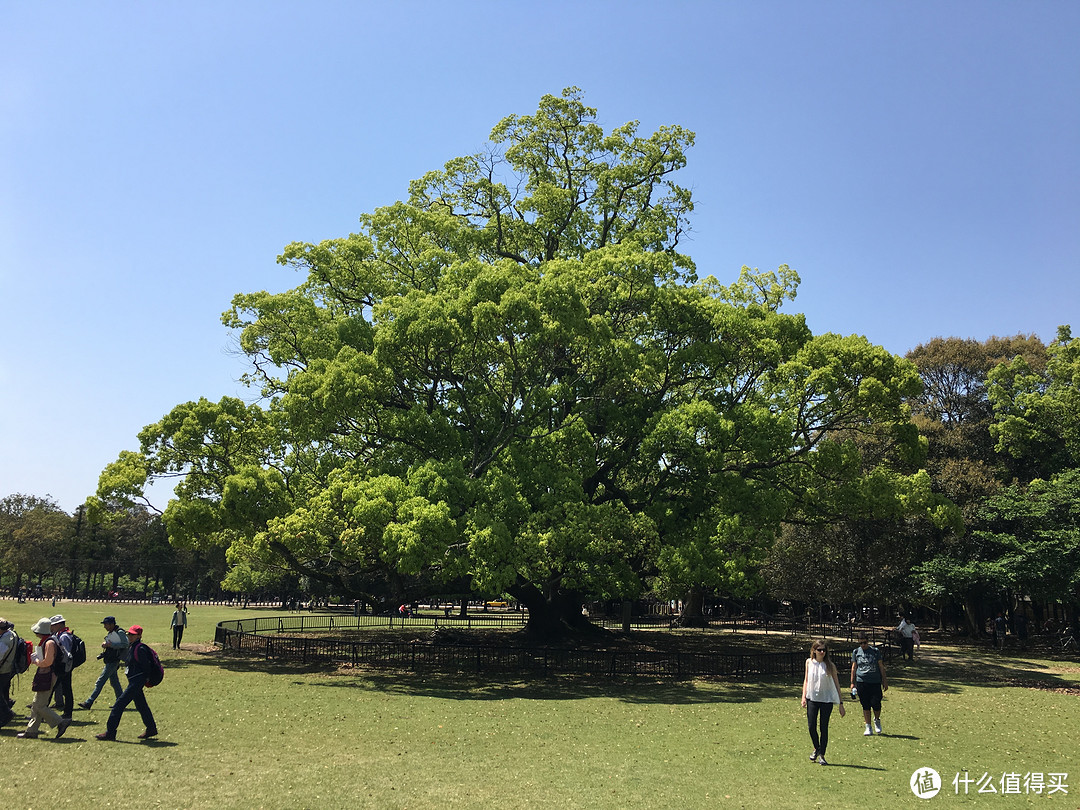 遇见日本之美，东京、名古屋、大阪、京都、奈良。