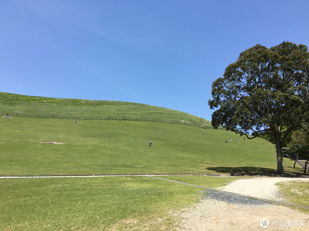 遇见日本之美，东京、名古屋、大阪、京都、奈良。