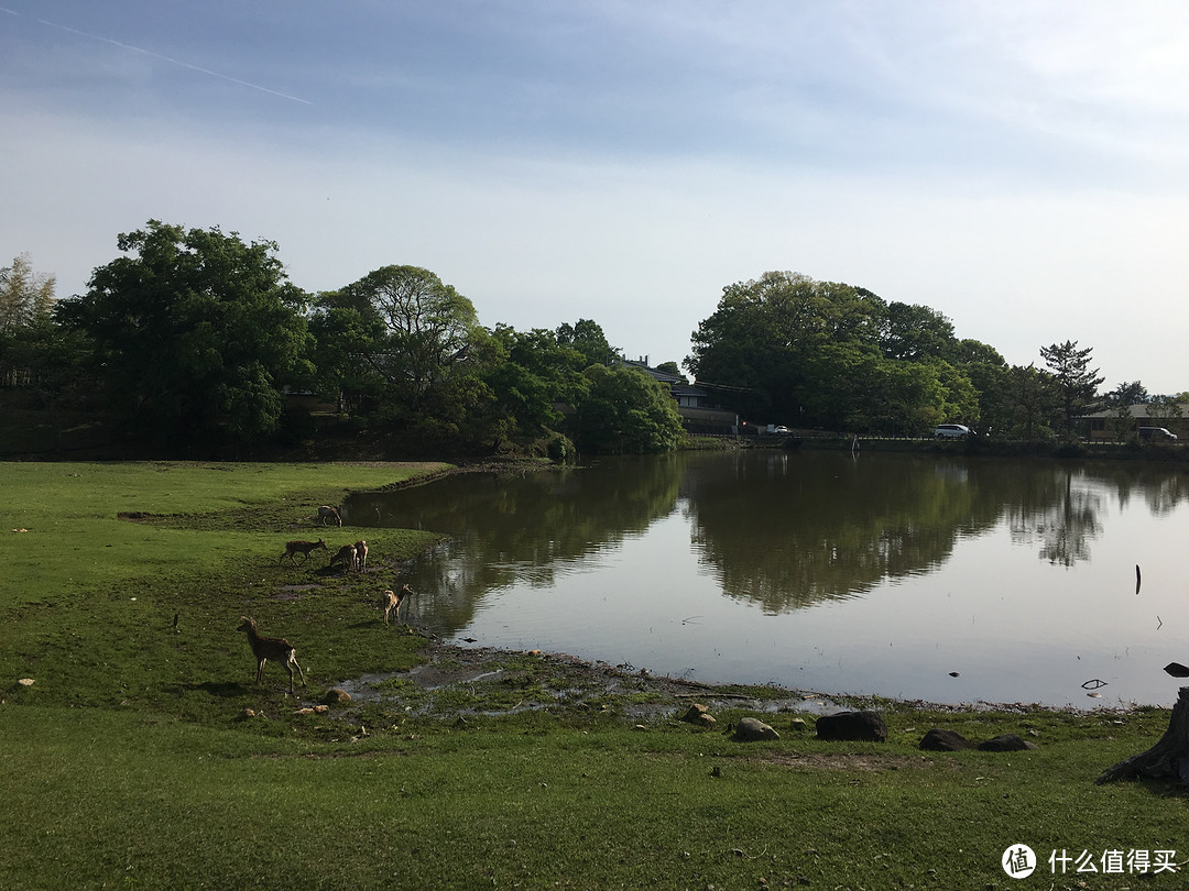 遇见日本之美，东京、名古屋、大阪、京都、奈良。