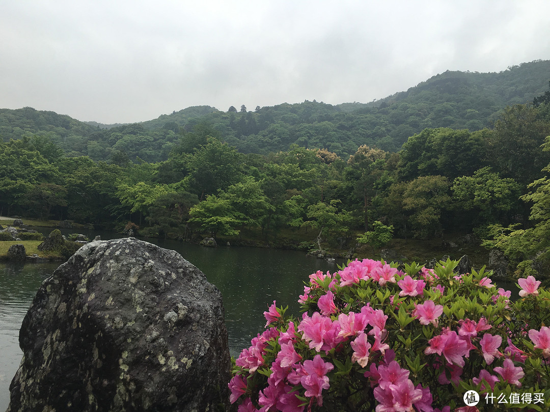 遇见日本之美，东京、名古屋、大阪、京都、奈良。