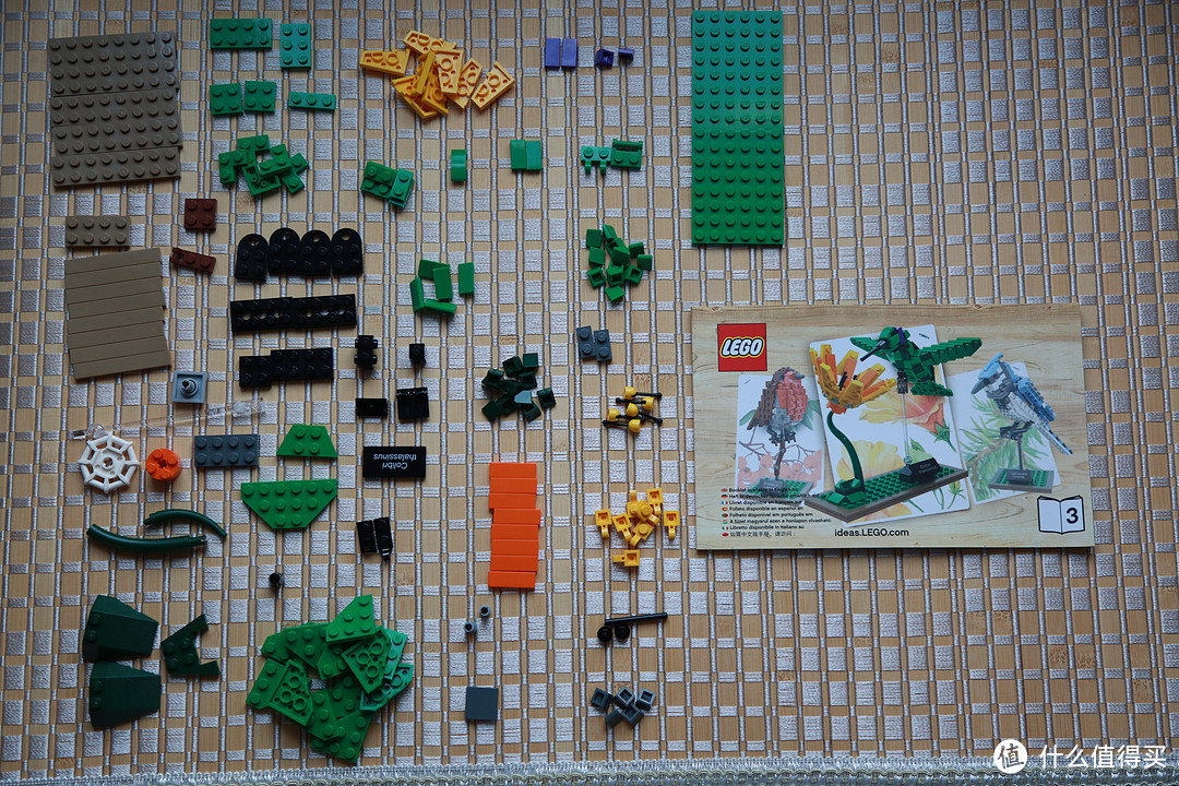 等一朵花开的时间：LEGO 乐高 21301 鸟类模型
