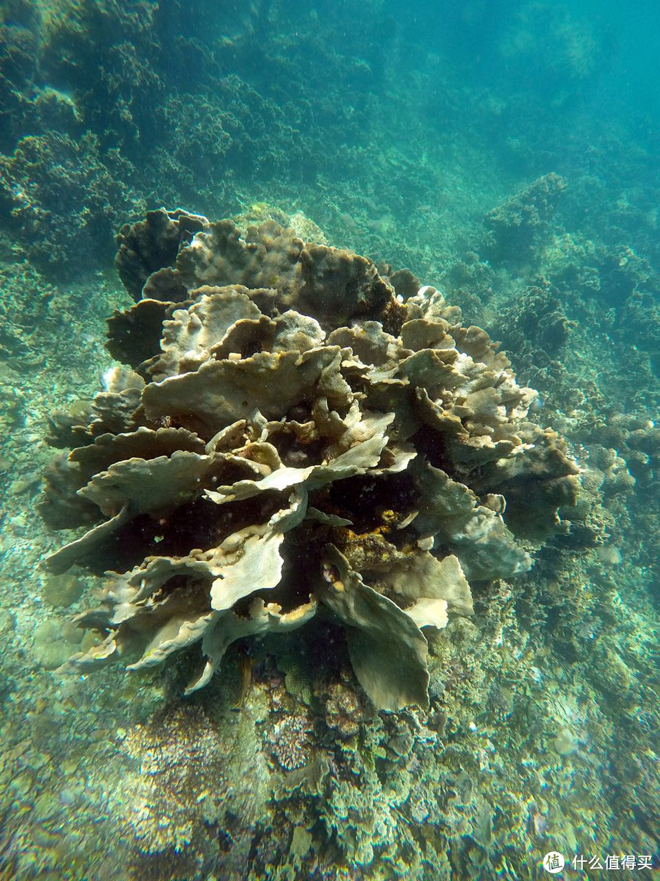 一城一海岛，一念一囧途