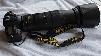 #本站首晒# 大身材看小世界 — Nikon 尼康 AF-S 尼克尔 200-500 F5.6E 超长焦镜头 简评