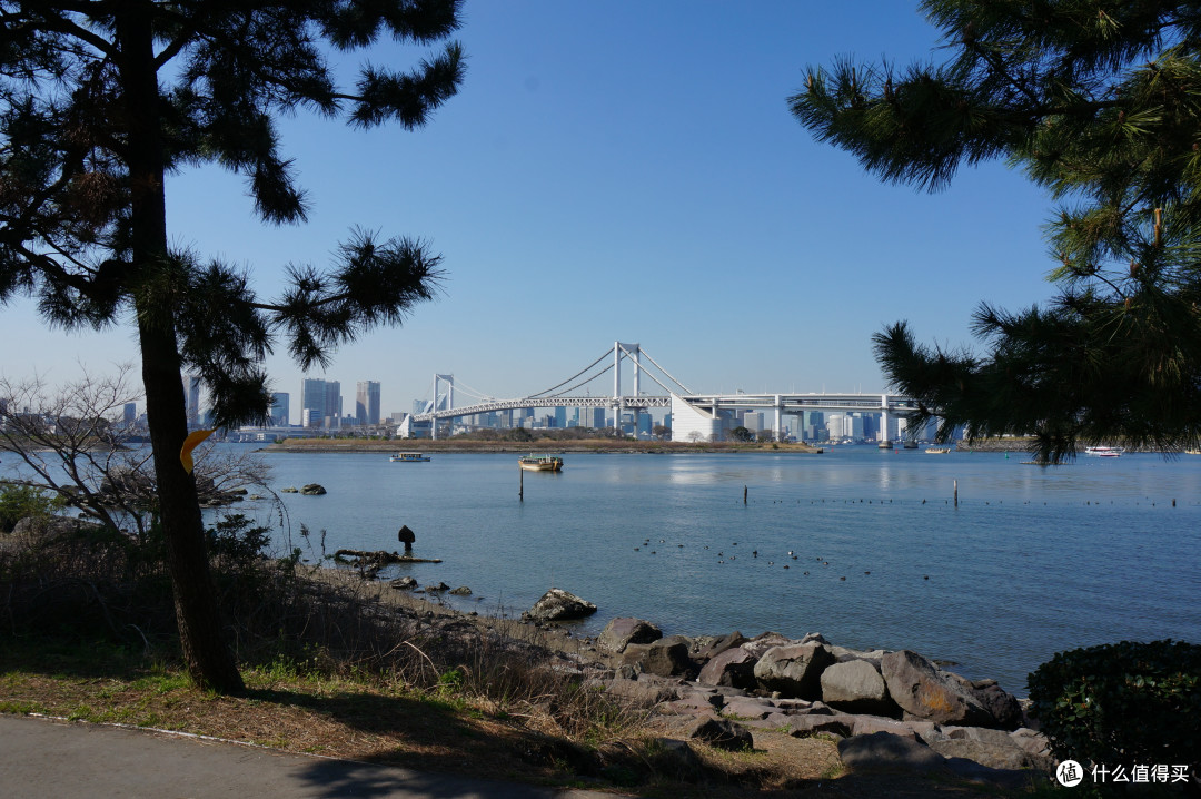 行前准备+筑地+台场+浅草寺+合羽桥器具街
