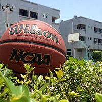 性价谁更值得买？！Wilson 威尔胜 NCAA 0730 solution PU复刻版篮球 VS Spalding 斯伯丁 74-604Y掌控