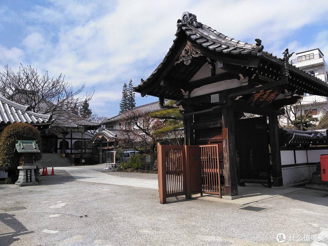 神乐坂巷游+早稻田大学+都电荒川线+谷根千+东京站夜景