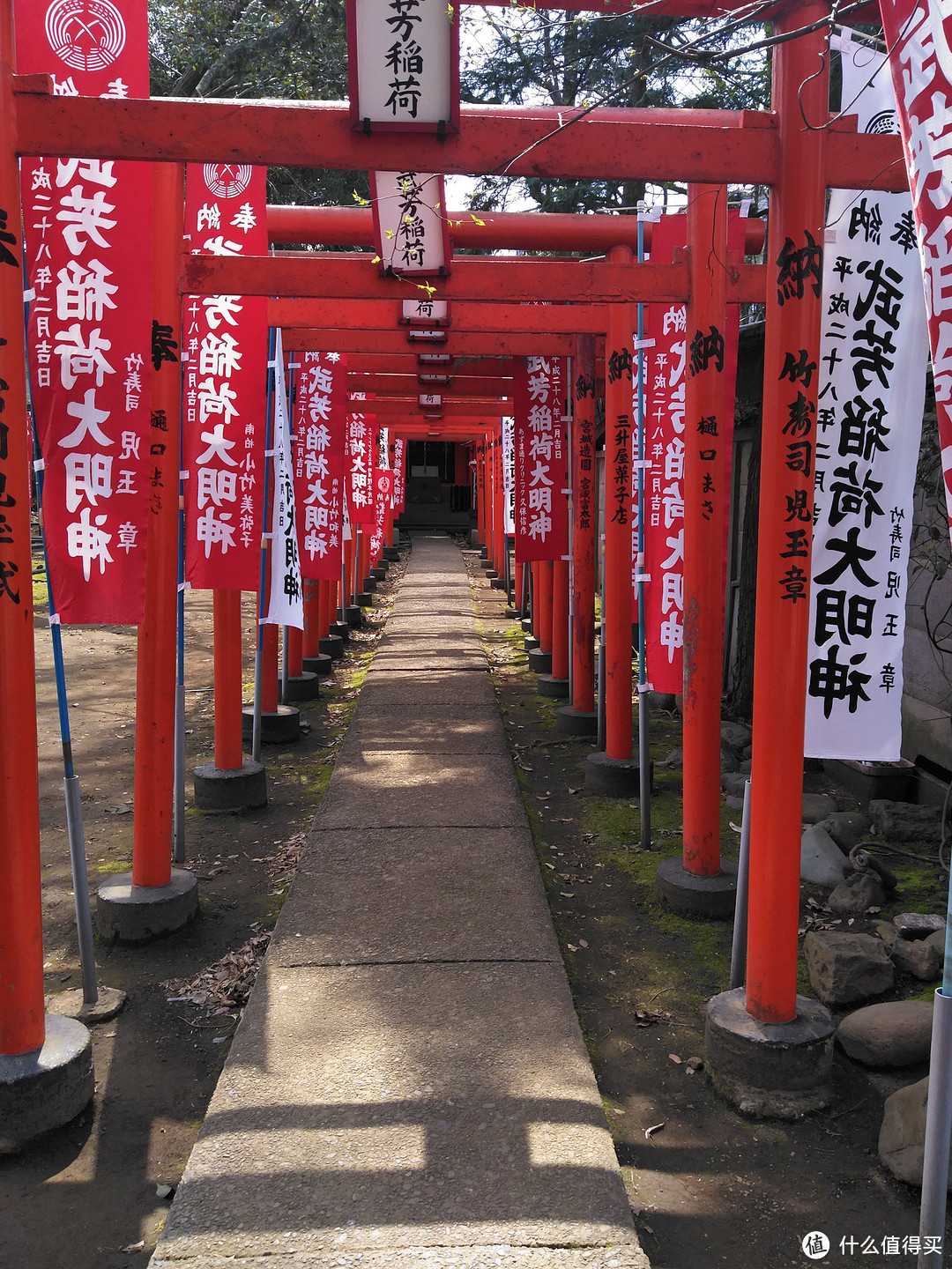 神乐坂巷游+早稻田大学+都电荒川线+谷根千+东京站夜景