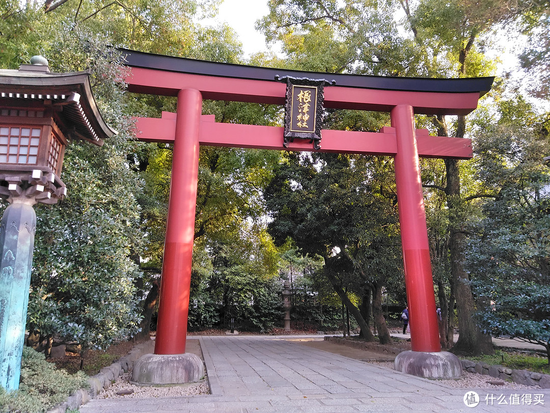 神乐坂巷游+早稻田大学+都电荒川线+谷根千+东京站夜景