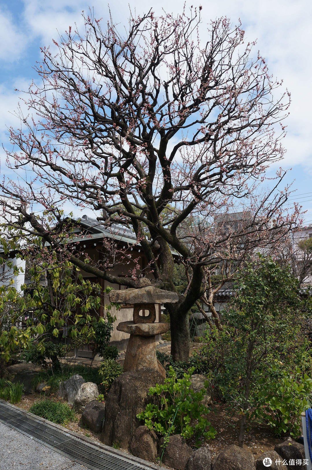 神乐坂巷游+早稻田大学+都电荒川线+谷根千+东京站夜景