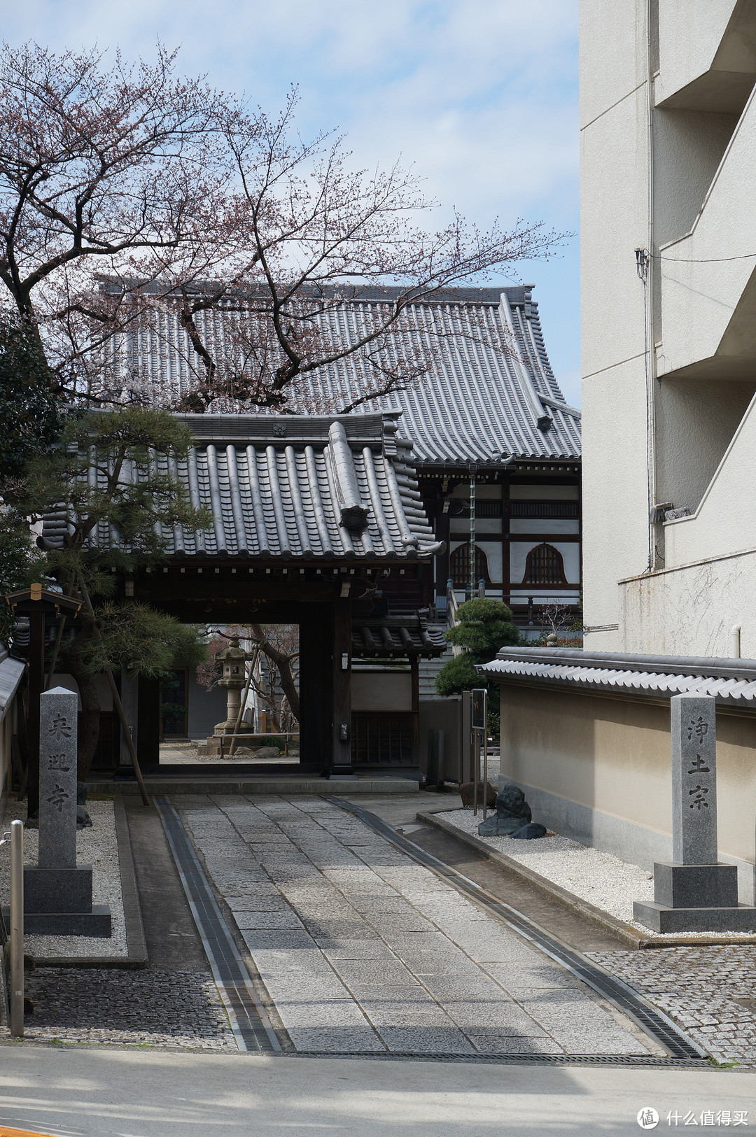 神乐坂巷游+早稻田大学+都电荒川线+谷根千+东京站夜景