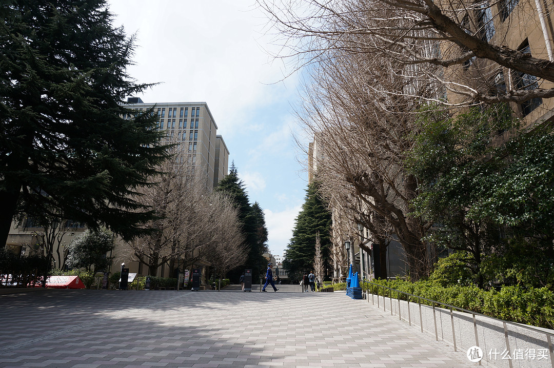 神乐坂巷游+早稻田大学+都电荒川线+谷根千+东京站夜景