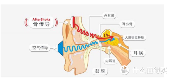 跑步中的小确幸：AfterShokz韶音AS600 TrekzTianium骨传导运动耳机使用评测