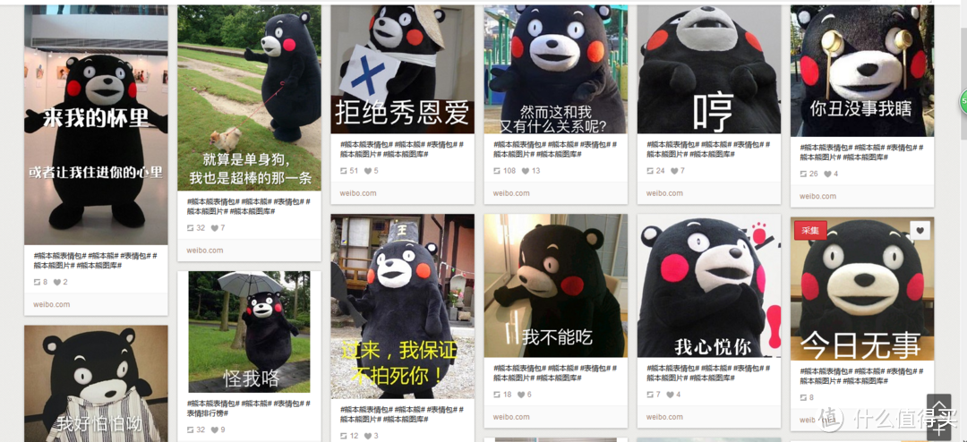 超高人气网红-ptimo 2号 熊本熊 Kumamon