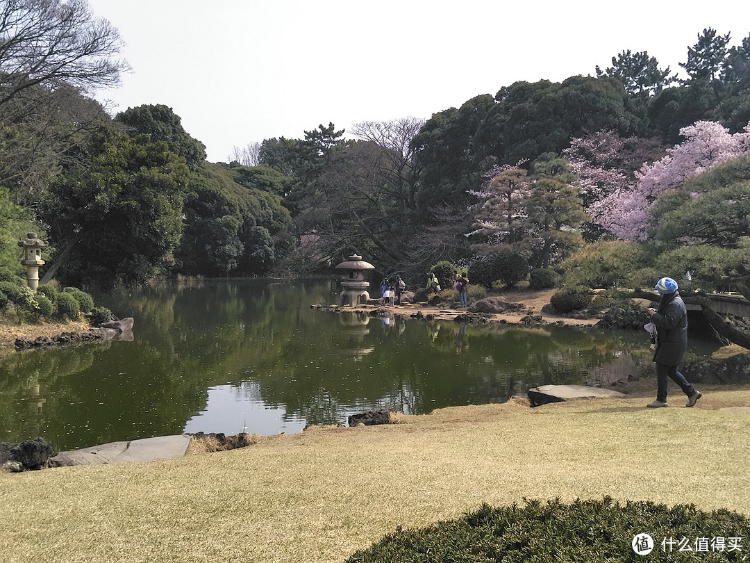 新宿御苑+明治神宫+表参道+惠比寿巷游+代官山+晴空塔