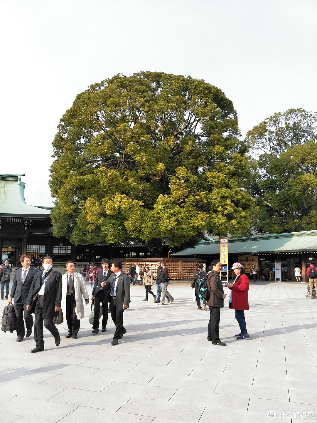 新宿御苑+明治神宫+表参道+惠比寿巷游+代官山+晴空塔