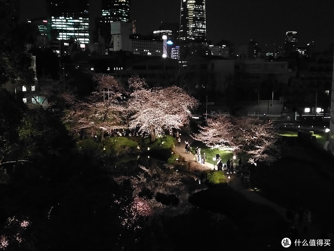 镰仓圣地巡礼+镰仓不走寻常路+Tokyo City View夜景