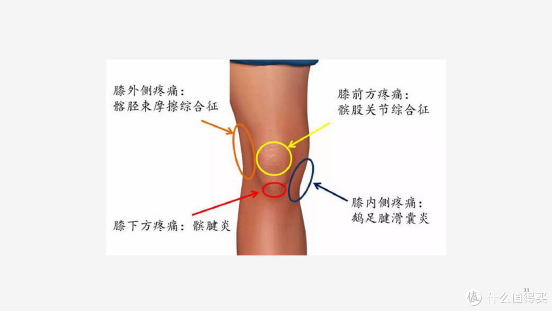 轻阅读：健身爱好者的自我修养(全图)