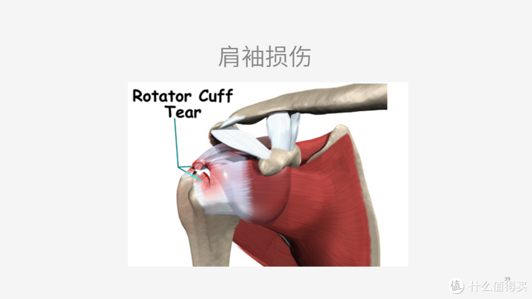 轻阅读：健身爱好者的自我修养(全图)