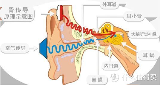 感受骨传导的黑科技——AfterShokz 韶音 AS600 Trekz Titanium™骨传导运动耳机评测报告